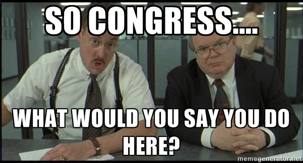 congress, what would you say you do here?