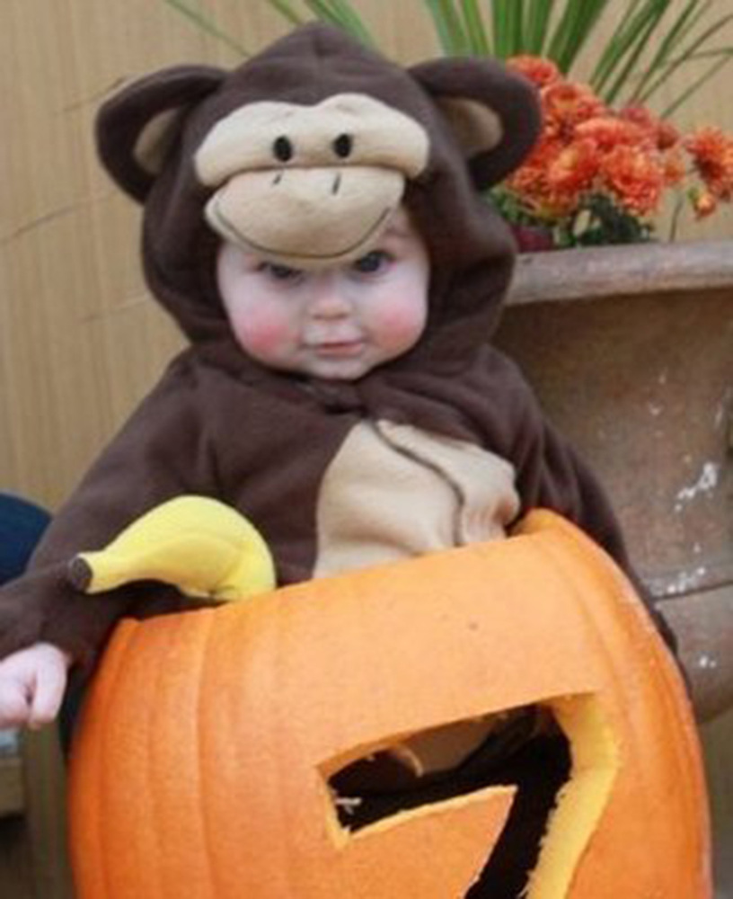 monkey in a pumpkin
