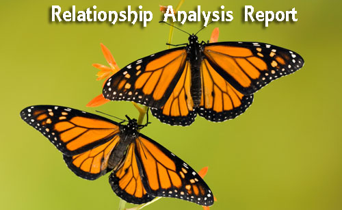 relationship analysis report - astrolika.com