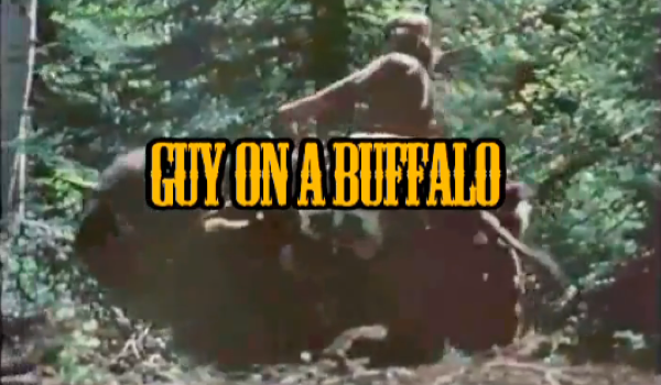 guy on a buffalo - episode 2