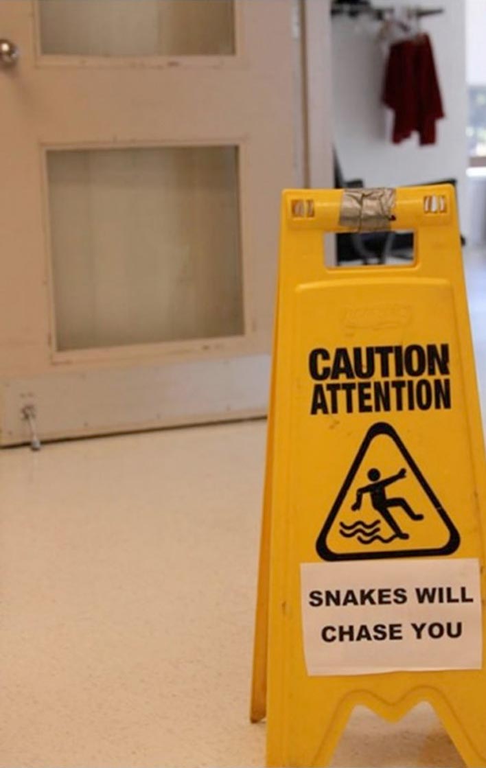 caution: snakes will chase you