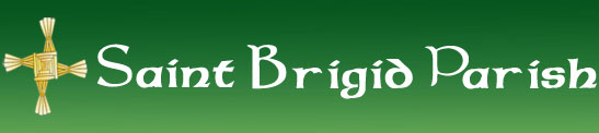 st. brigid young adult group