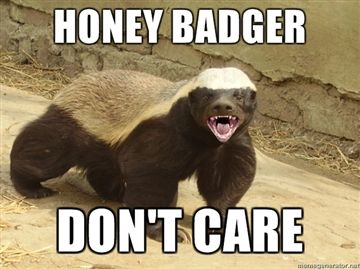 honey badger don't care