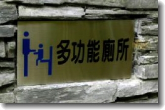 chinese iconograph