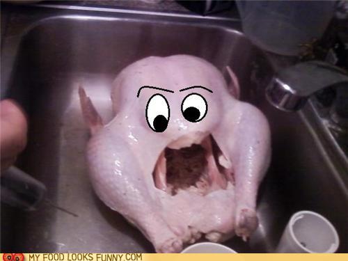 scared turkey