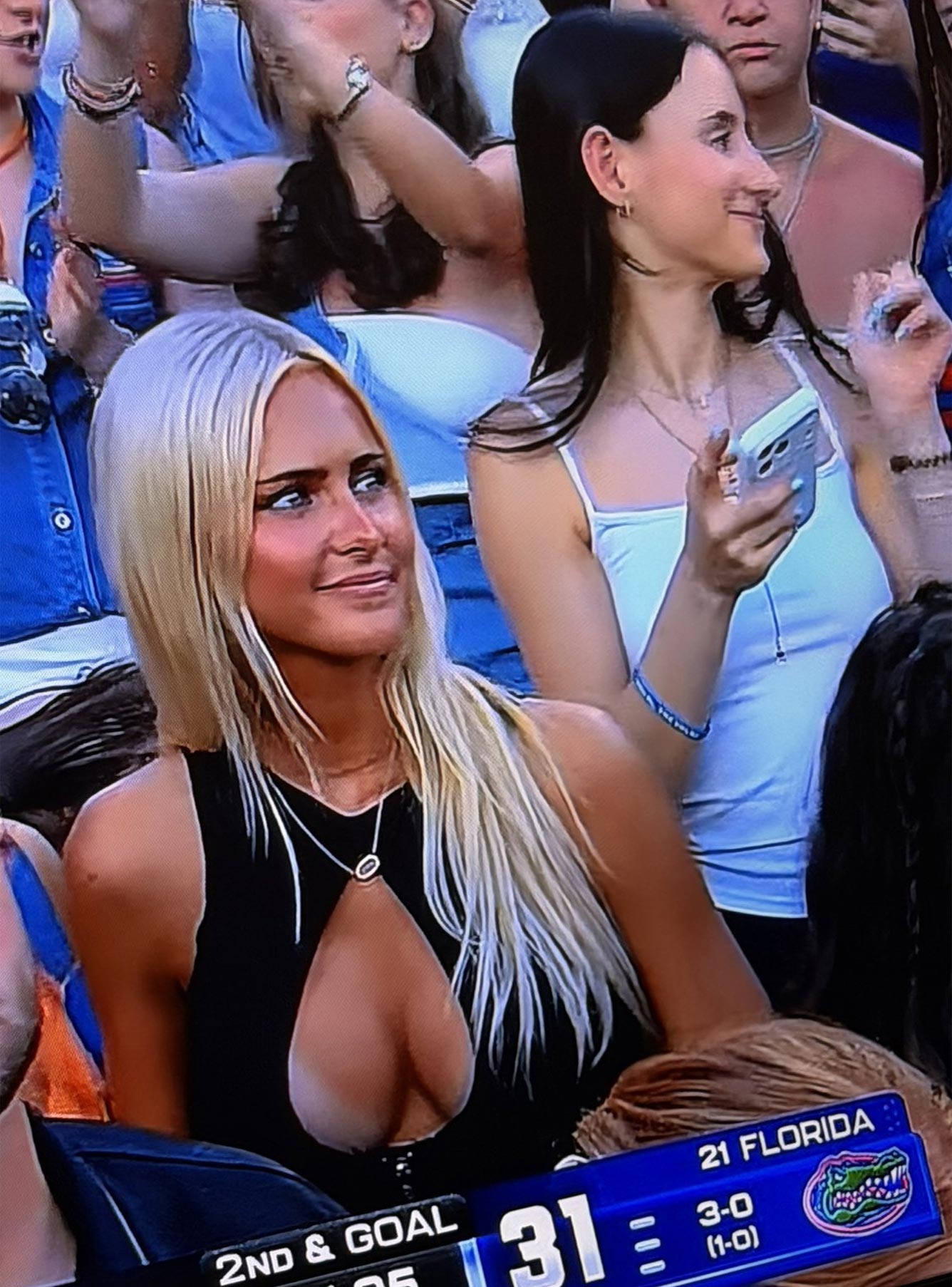 florida gators