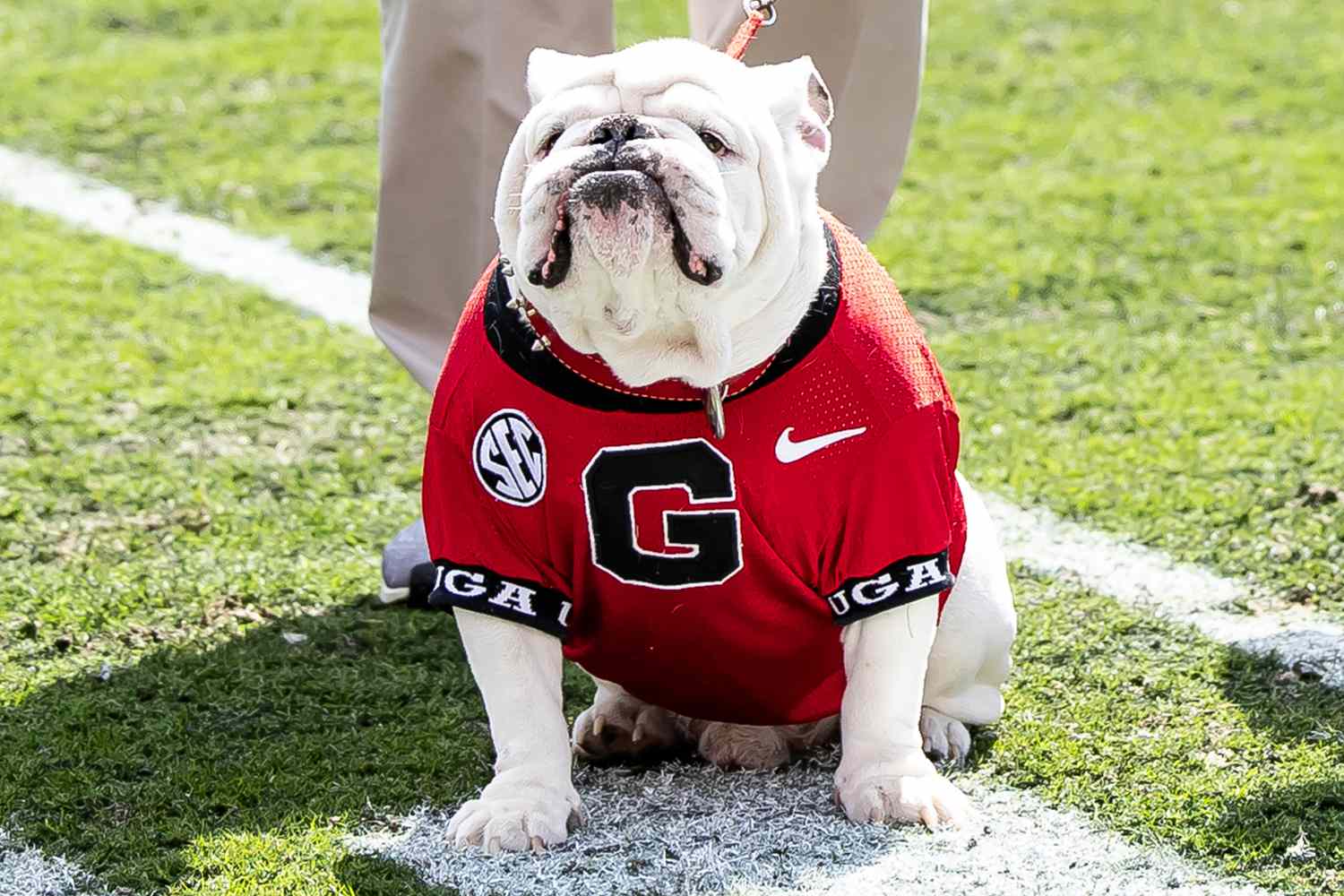 2026 college football teams
