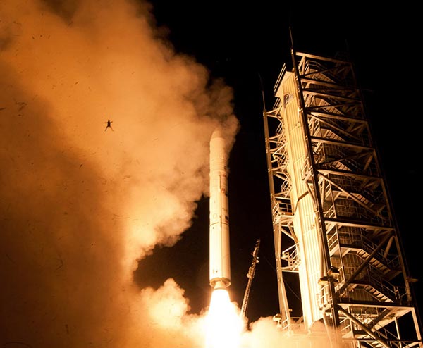 frog photbombs rocket launch