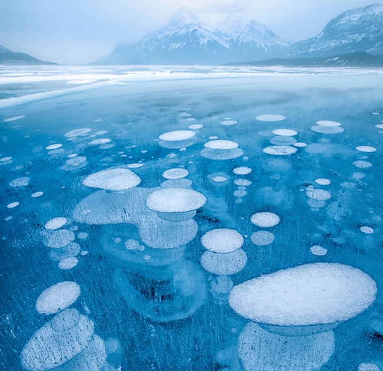frozen air bubbles in abraham lake