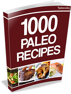 1000 paleo recipes
