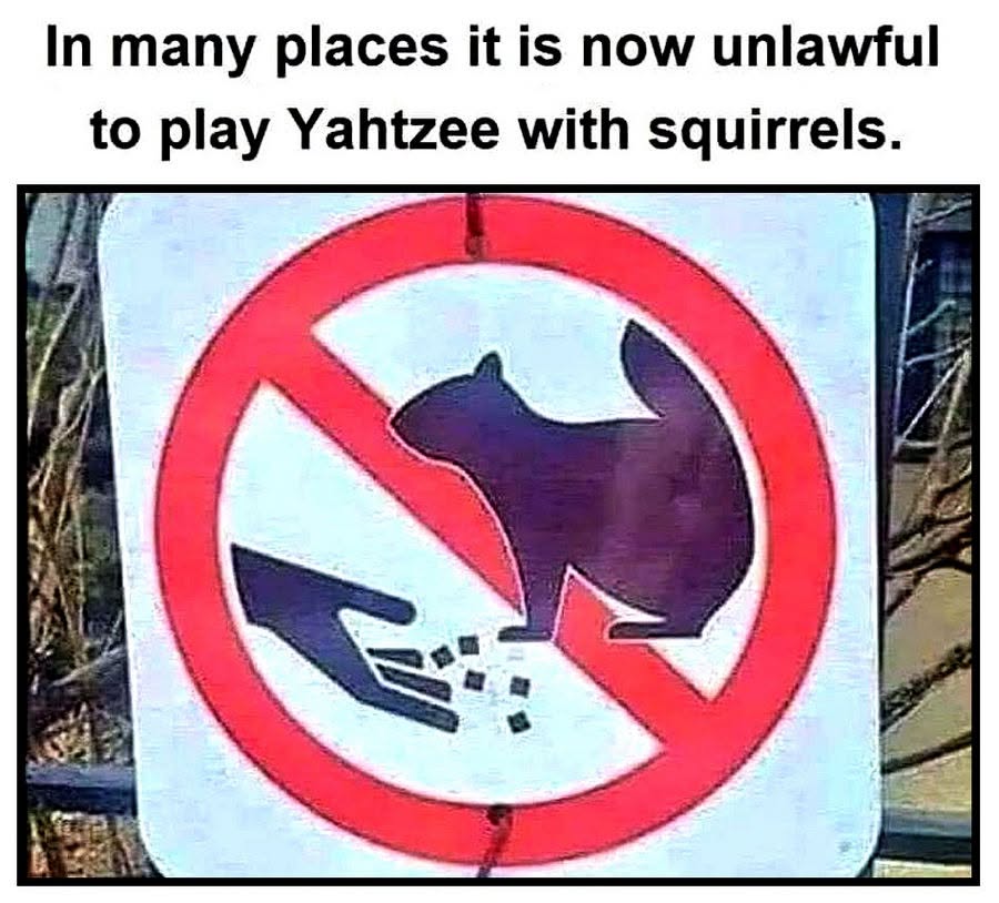 unlawful to play yahtzee with squirrels