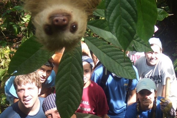 a sloth photobombs a group of students in costa rica